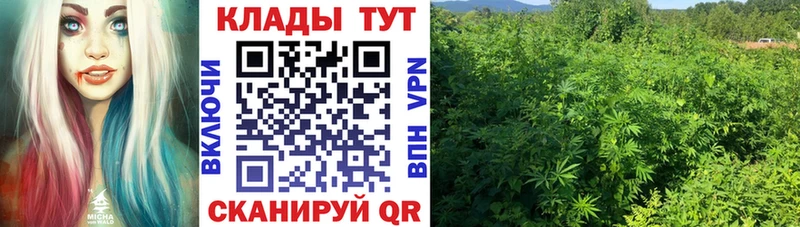 Наркошоп Котовск ссылка на мегу онион МЕФ ГЕРОИН А ПВП ГАШИШ АМФЕТАМИН