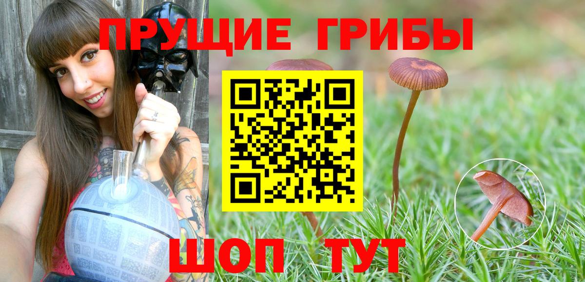 Галлюциногенные грибы Psilocybine cubensis  Галлюциногенные грибы Cubensis  наркошоп  Котовск  Вход с VPN 