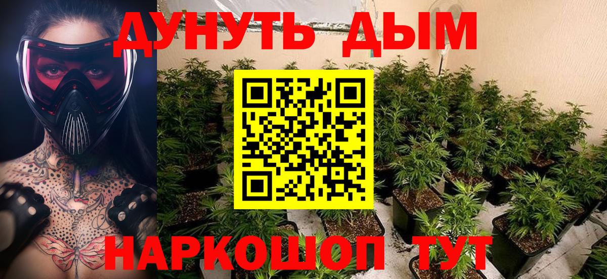 Котовск  Канабис план  Бошки марихуана марихуана  Вход с VPN  Канабис Bruce Banner 